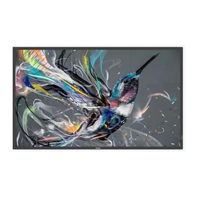 Philips 55" 55BDL3650Q/00 Display