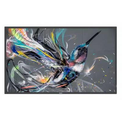 Philips 65" D-LED ECO-Design 4K Display